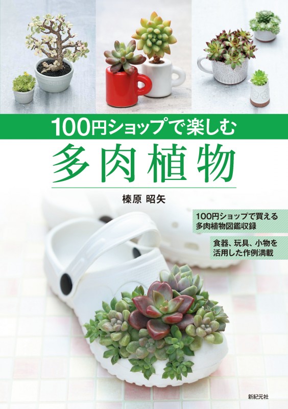 100円ショップで楽しむ多肉植物