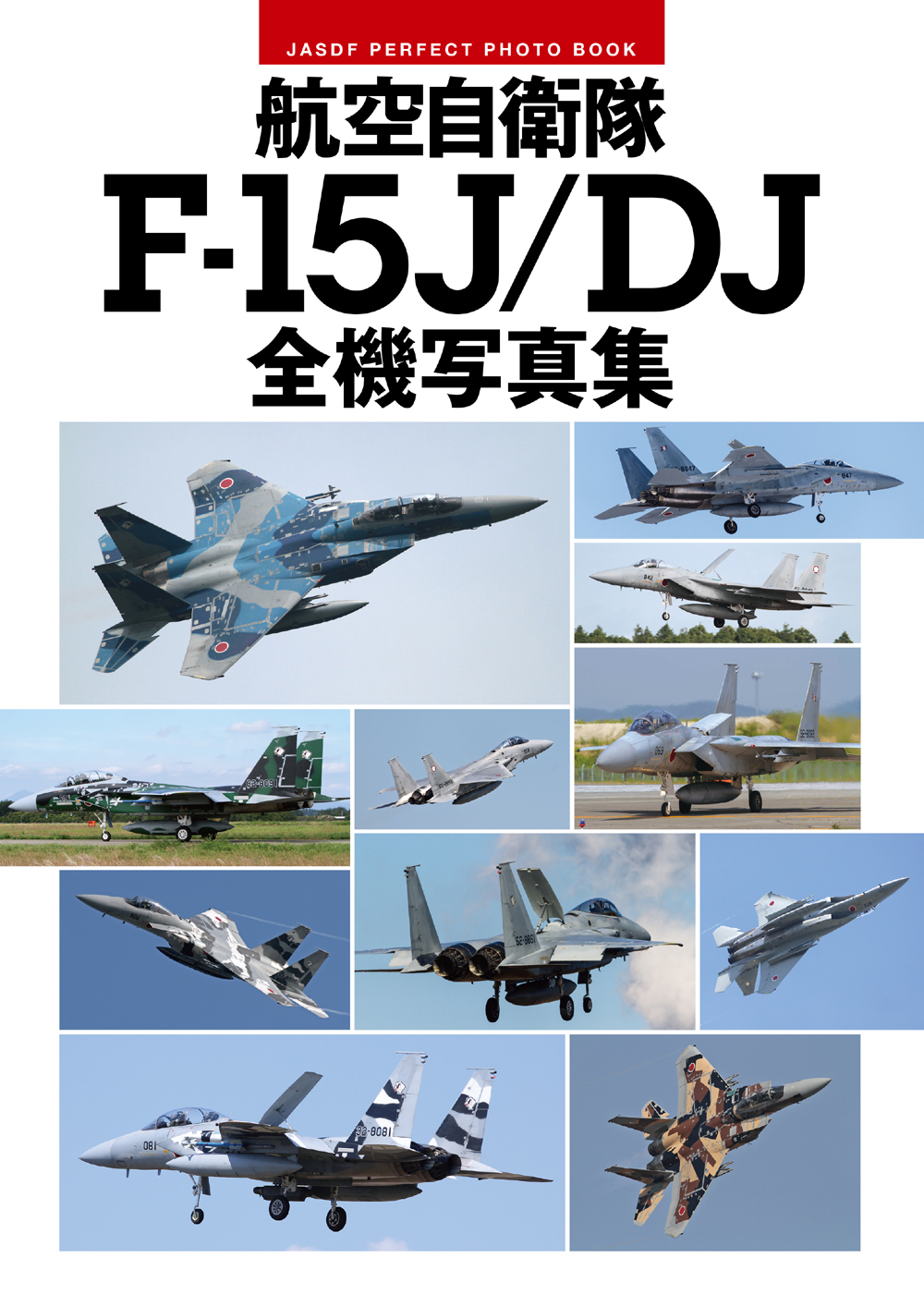 航空自衛隊 F-15J/DJ 全機写真集